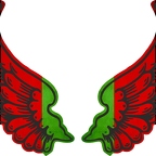 r8234 2 ailes Malawi