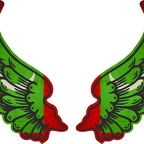 r8235 2 ailes Maldives