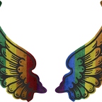 R8238 2 ailes rainbow