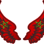 r8239 2 ailes Maroc