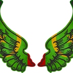 r8243 2 ailes Mauritanie