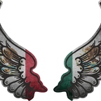 r8245 2 ailes Mexique