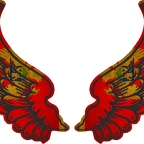 r8250 2 ailes Montenegro