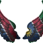 r8253 2 ailes Namibie