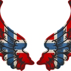 r8259 2 ailes Norvege