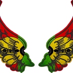 r8260 2 ailes Ncaledonie