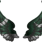 r8265 2 ailes Pakistan