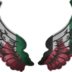 r8267 2 ailes Palestine