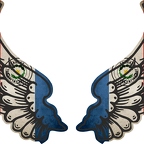 r8270 2 ailes Paraguay