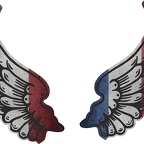 r8271 2 ailes Pays-Bas