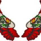 r8272 2 ailes Perou