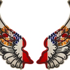 r8275 2 ailes Polynesie fr