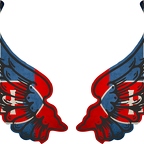 r8300 2 ailes Slovaquie