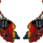 r8308 2 ailes Swaziland