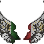 r8309 2 ailes Tadjikistan