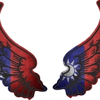 r8310 2 ailes Taiwan