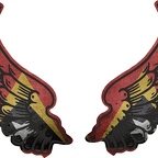 r8316 2 ailes Timor-Leste