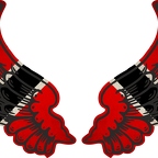 r8319 2 ailes Ttobago