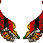 r8335 2 ailes Zimbabwe