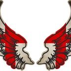r8338 2 ailes england