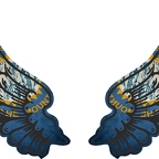 r8387 2 ailes dakota sud