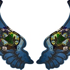 r8399 2 ailes maine