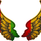 R8530 2 ailes rasta