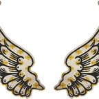 R8534 2 ailes FDL blc