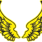 R8538 2 ailes jaune