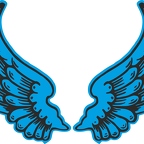 R8539 2 ailes bleu