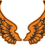 R8541 2 ailes orange