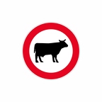 r9083 vache