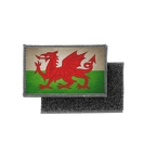 HL2 226 wales