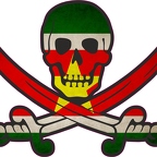 r9846 Suriname