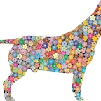 r9708 bull terrier