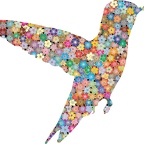 r9710 colibri