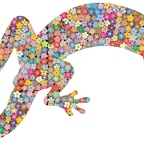 r9712 lezard