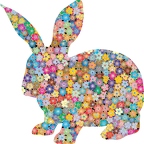 r9717 lapin