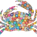 r9718 crabe
