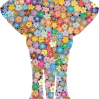 r9719 elephant face