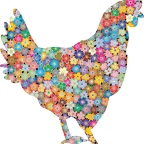 r9724 coq