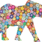r9726 elephant marche