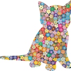 r9729 chaton