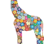 r9736 girafe