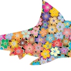 r9742 requin