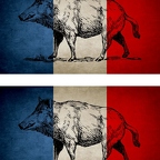 R9746 2 drapeau sanglier