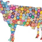 r9747 vache