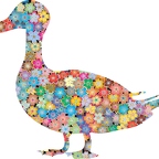 r9748 canard