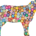 r9754 sheep