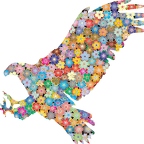 r9755 aigle elance